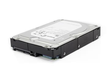 Seagate 1 TB SATA 7.2K 3.5" 6G HDD ST1000NM0033
